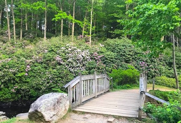 Quels sont les types d'aménagement possibles selon la taille, la forme et l'orientation de votre jardin ?