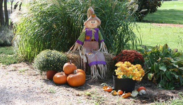 5 astuces pour décorer son jardin pour Halloween